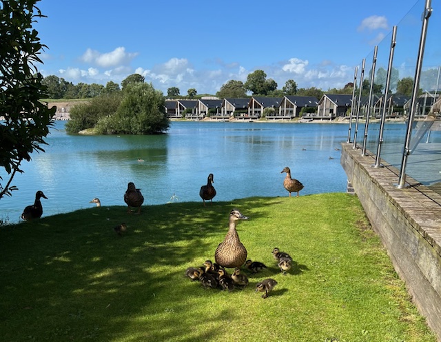 Twin lakes family friendly things to do