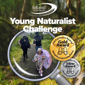 Twin Lakes family adventure - Fell End Nature Reserve