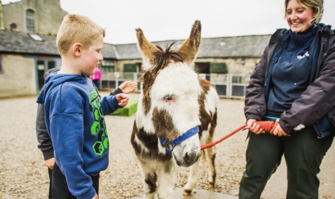 Twin Lakes family adventure - Greenlands farm