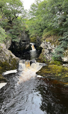 Twin Lakes Hiking and Nature activities - Ingleton Waterfalls Trail